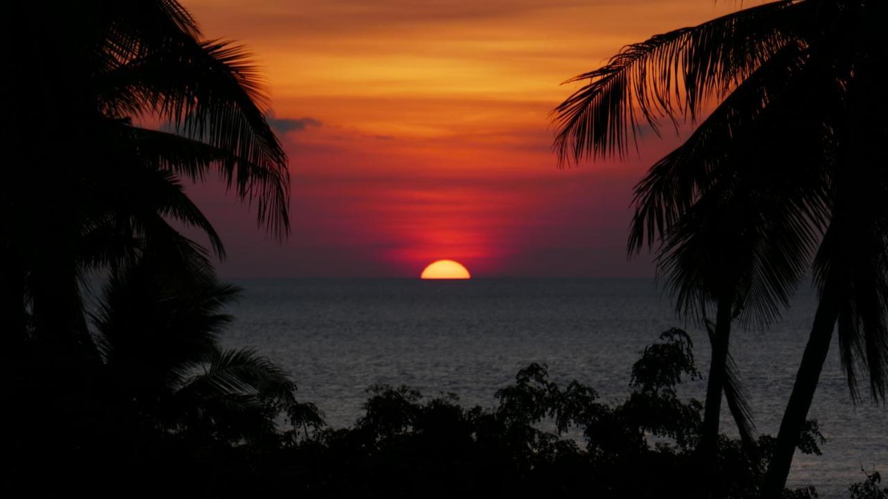 Marind Dive Eco Resort Waha Exterior foto